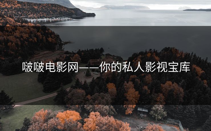 啵啵电影网——你的私人影视宝库