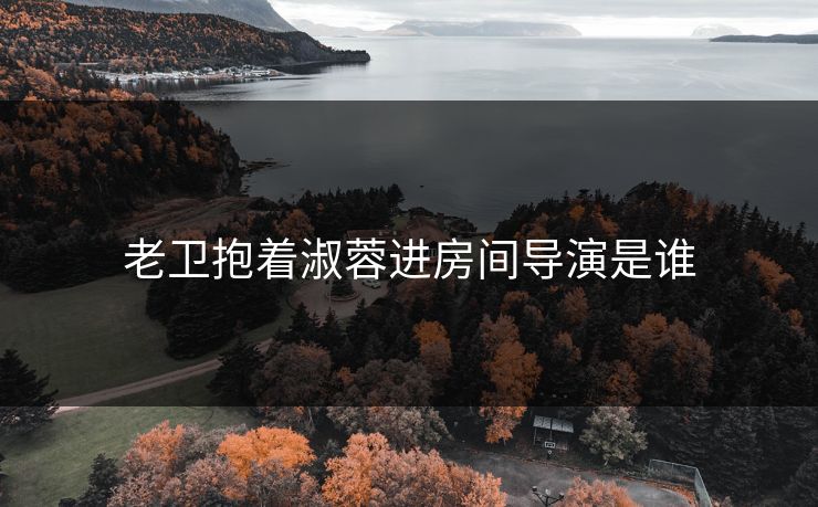 老卫抱着淑蓉进房间导演是谁