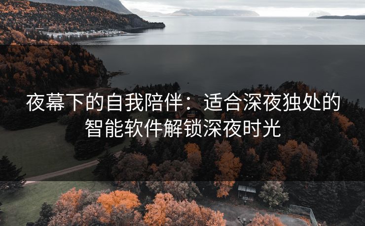 夜幕下的自我陪伴：适合深夜独处的智能软件解锁深夜时光