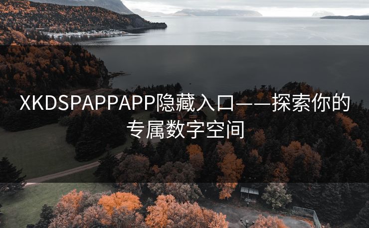 XKDSPAPPAPP隐藏入口——探索你的专属数字空间